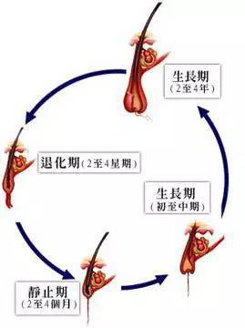 生发养发该怎么做？脱发的原因你找到了吗